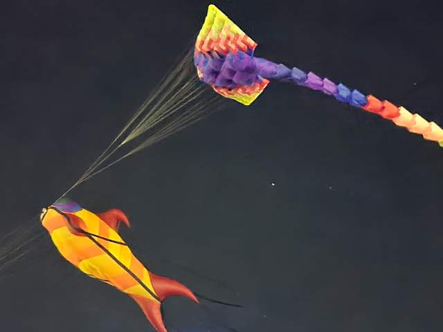 Giant Kites