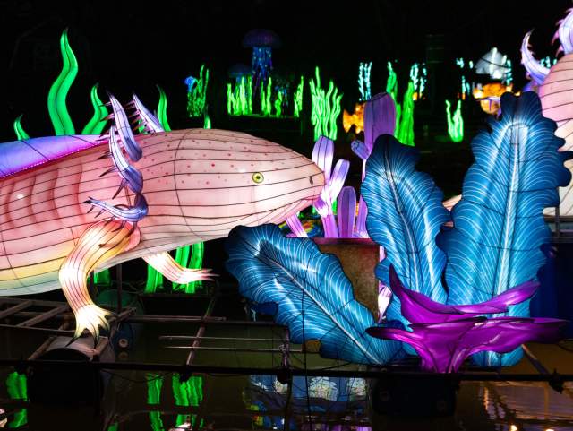 Fort Wayne Zoo Glo Wild lantern festival colorful lanterns shining against the lake