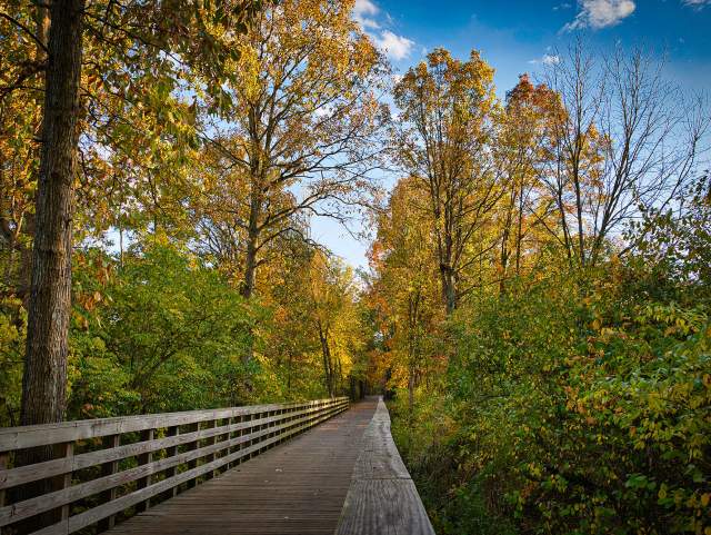 The Rivergreenway Trail in Fall