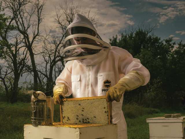 a person dressed in a white suit protective bee suit, the person is holding a bee hive frame.