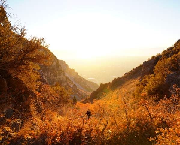Hobble Creek Canyon