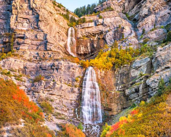 bridal veil
