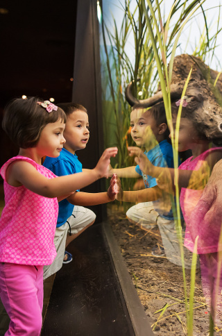 kids lean against exhibit glass