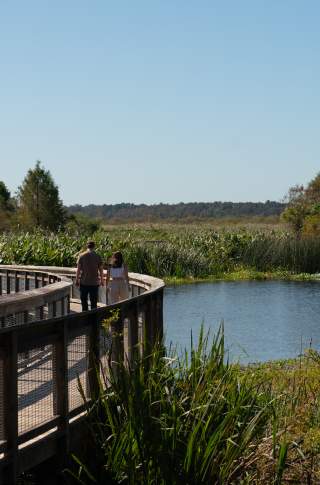 Gainesville Sweetwater Wetlands Park