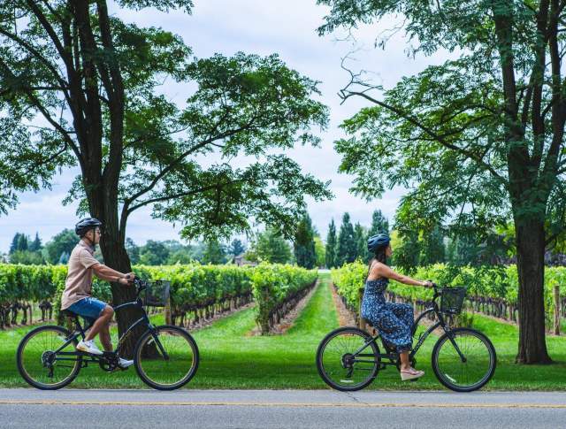 Couple biking in the vineyard