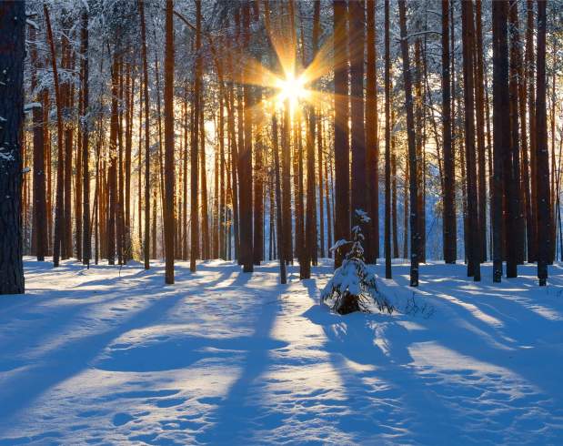 2Feb Winter Sunrise 2UC Timothy-Dowhower