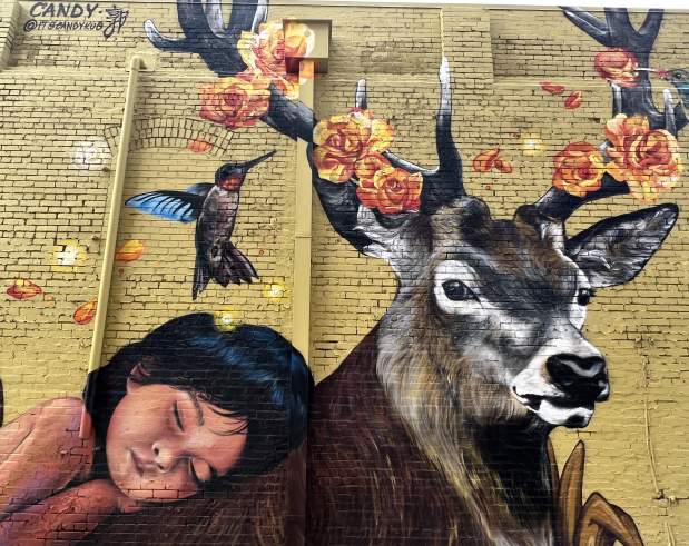 deer mural