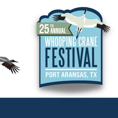 2022 Whooping Crane Festival Port Aransas Texas Whooping Crane Festival 2022