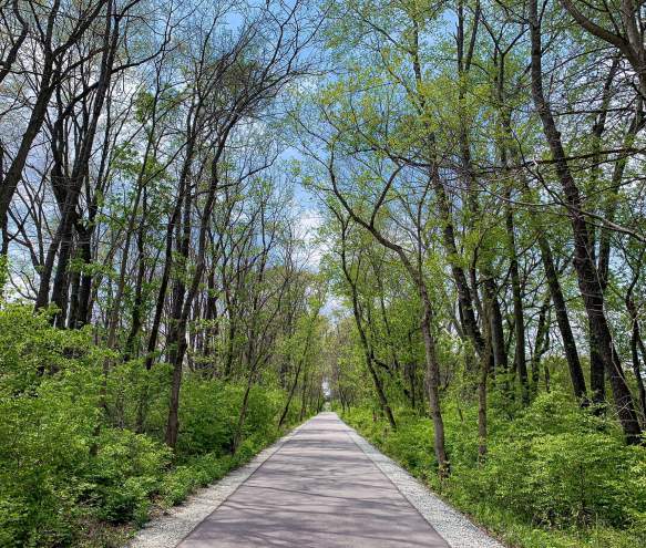 Limestone Greenway during spring