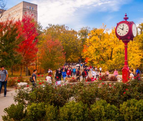 Indiana University 2