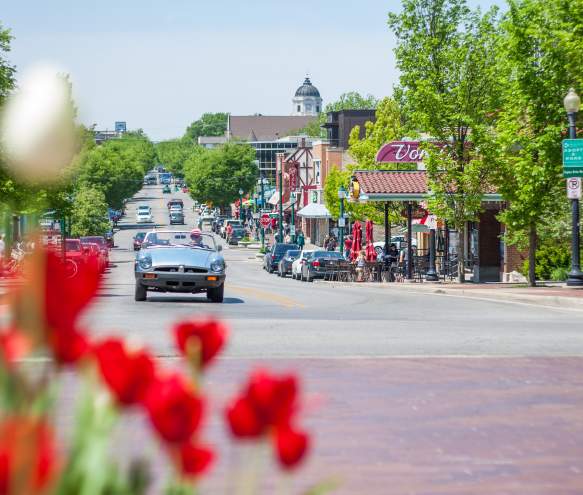 Classic car drives past tulips on Kirkwood in Bloomington