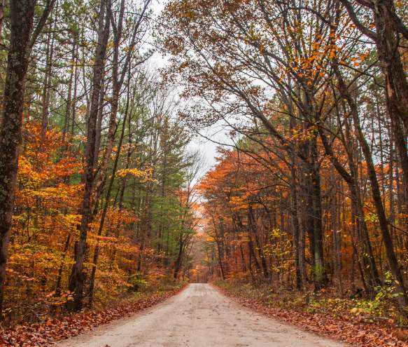 Hoosier National Forest during fall