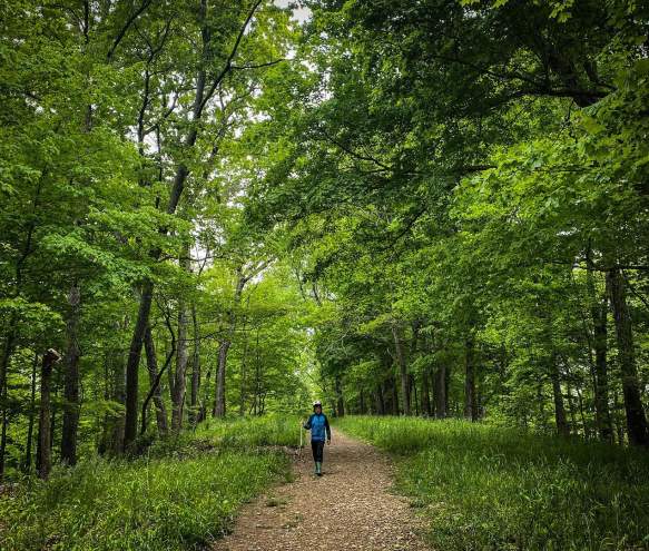 Boy walking on a path surrounded by trees carrying a walking stick at the Amy Weingartner Branigin Peninsula