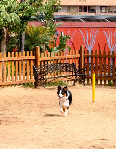 Pet friendly en Fuengirola