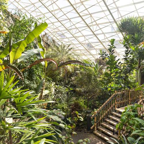 The indoor Tropical Gardens at the Botanical Conservatory in Fort Wayne