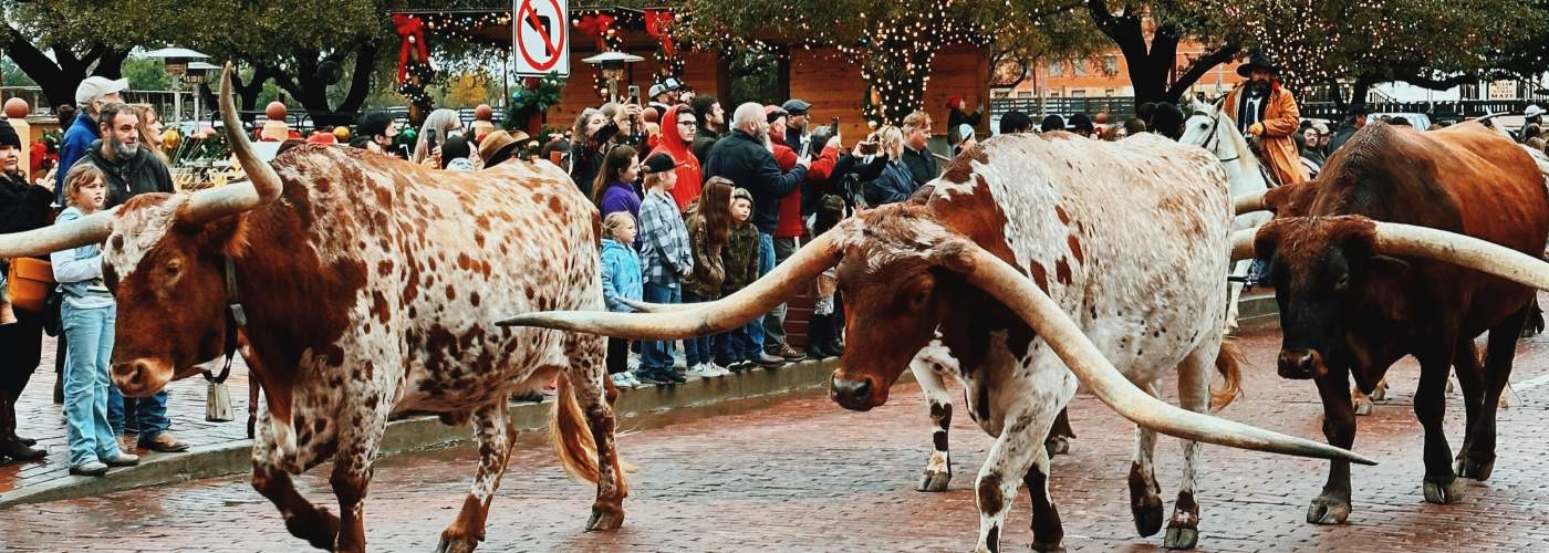 Your Guide to the Fort Worth Stockyards