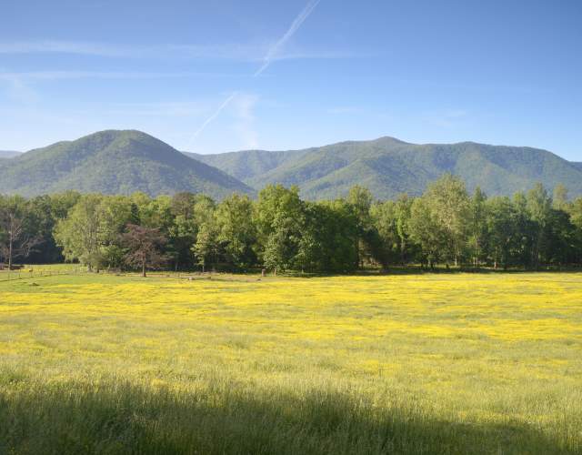 Cades Cove