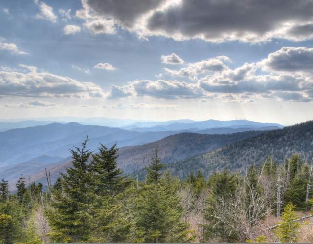 Mountain Scene