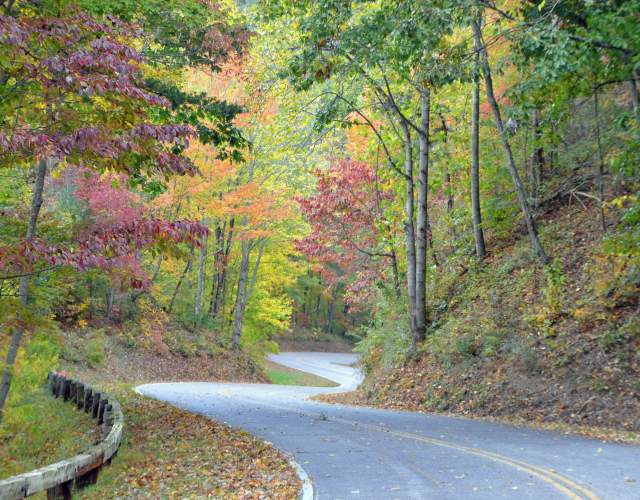 Winding Road in the Fall