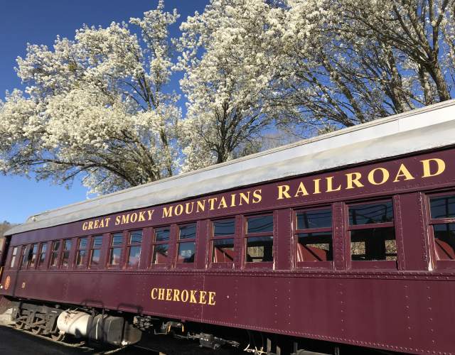 Spring at the Depot