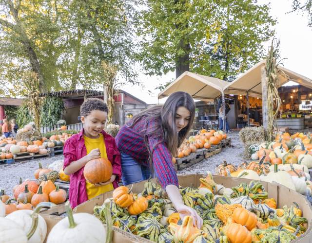 Two kids picking squash