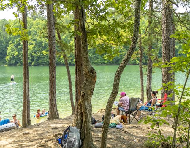 Lake Swimming