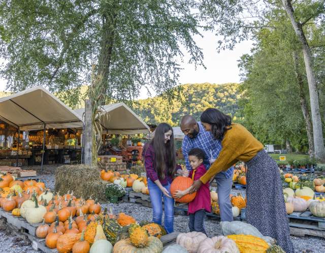 Fall Family Events