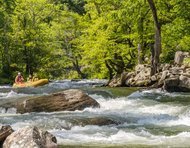 Whitewater Nantahala River