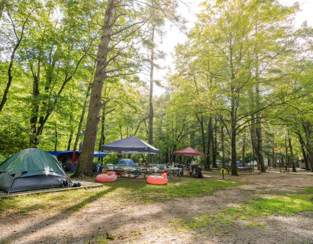Campgrounds and RV Parks