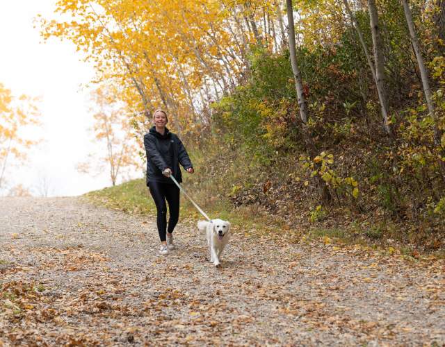 Dog Walking in Park