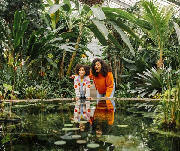 Little girl and woman looking at an indoor lily pond at the botanical gardens