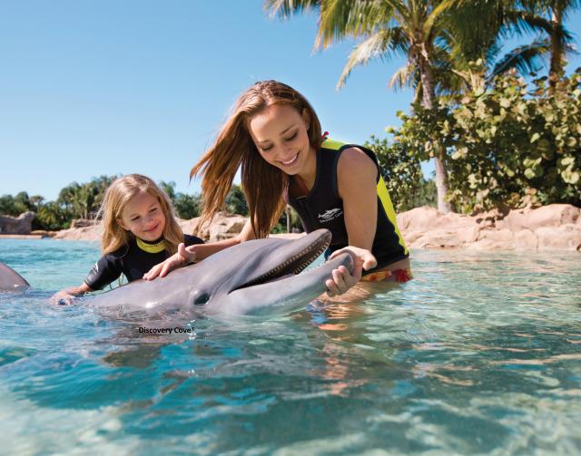 Seaworld Discovery Cove Aquatica Orlando Theme Parks