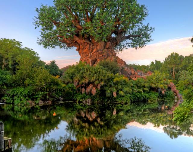 Walt Disney World Resort