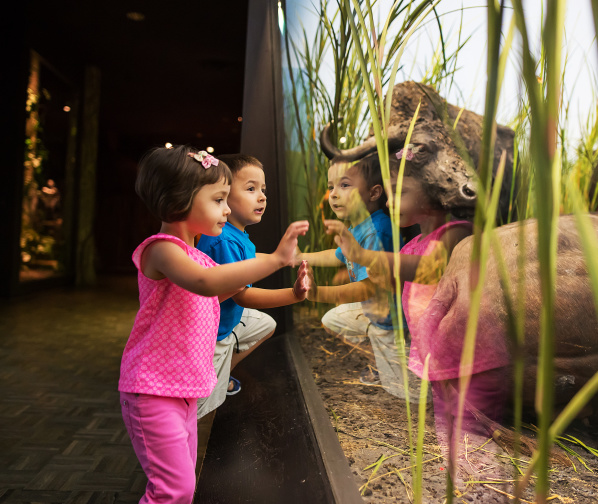 kids lean against exhibit glass