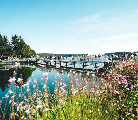 People walking on a bridge over water with pink flowers leading towards the bridge.
