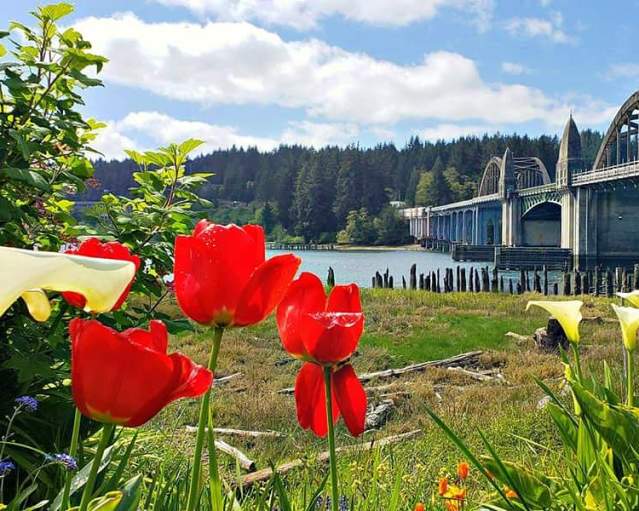 Bridge with flowers