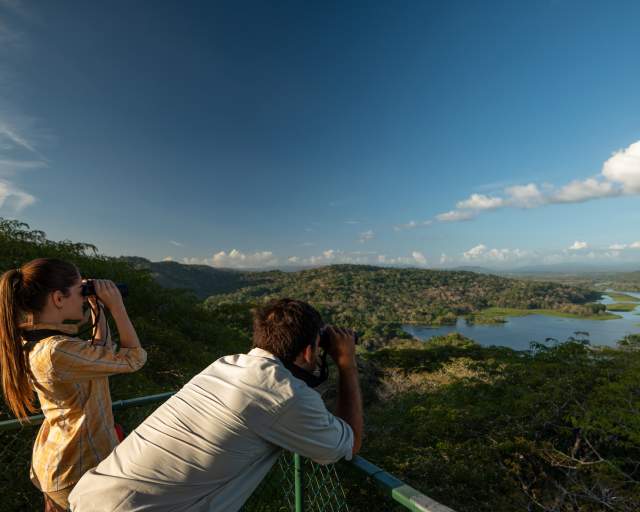 Tour operator at Birdwatching tower in Gamboa Rainforest Reserve, Panama City