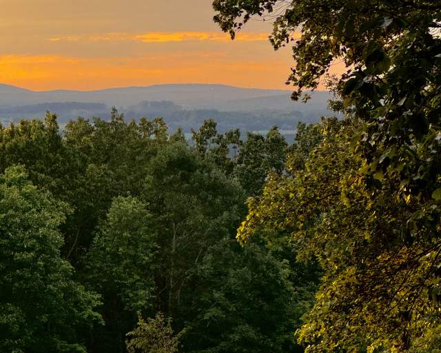Shot of Uwharrie National Forest.