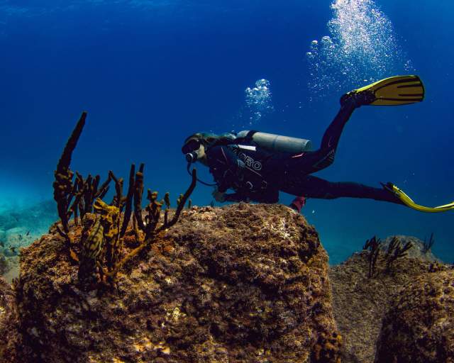 A person diving near beautiful corals in a blue and turquoise sea