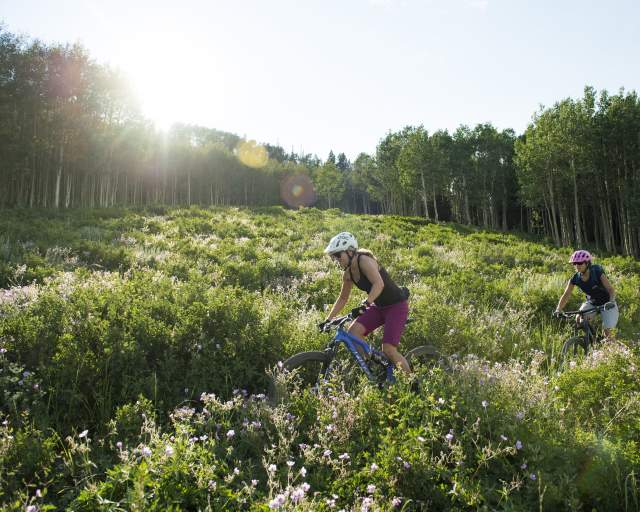 Two women mountain biking across a meadow with sunburst