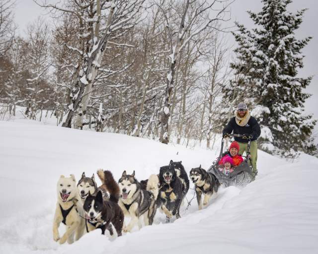Dogs charging through fresh snow pulling sled with smiling mother and daughter.