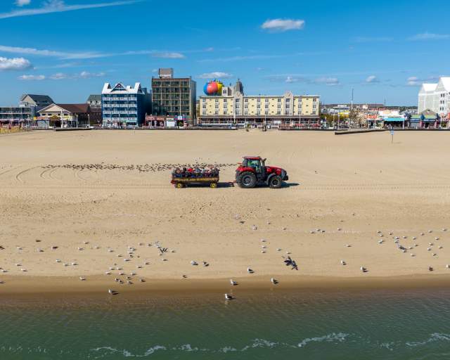 Beach Tractor Rides