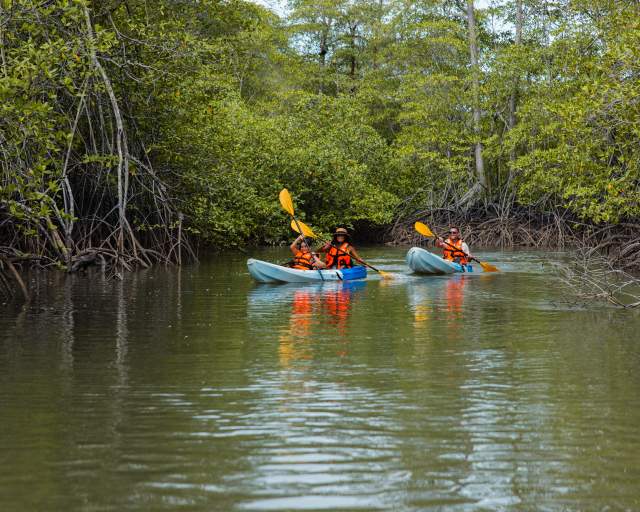Turistas haciendo kayak en manglares de la Costa Pacífica de Veraguas, Panamá
