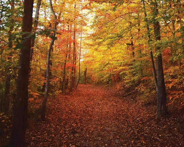 Deep River State Trail - Ramseur