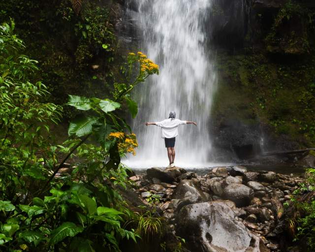 " A mesmerizing waterfall cascades through the ethereal cloud forest at Boquete"
