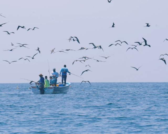 Group boat fishing at Estiva Island, with lots of birds in a sunny day