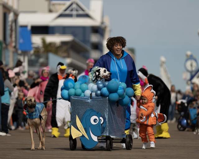 Pet Parade