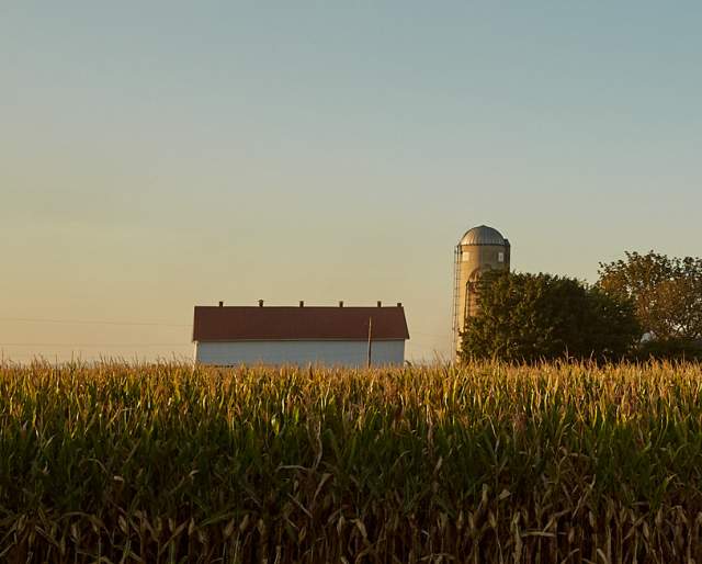 Horizon of a farm in Lancaster with a cornfield and barn