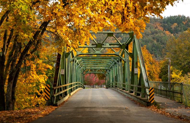 Bridge and Fall colors