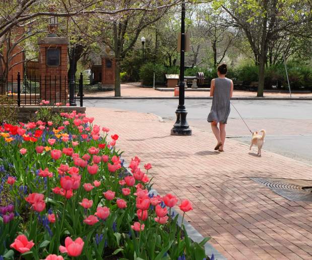 NYS P.E.O. Sisterhood Conference